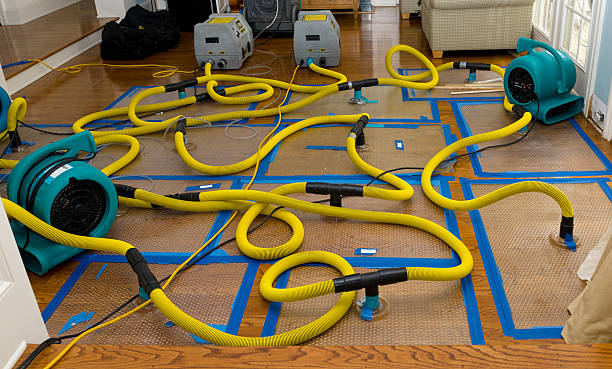 Professional Structural Drying And Dehumidification technician working in Streeter, ND